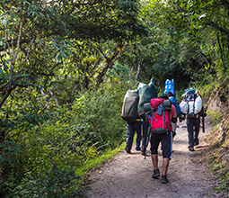 Turistas caminando por la naturaleza