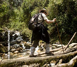 Guía caminando sobre un tronco por el Camino Inca