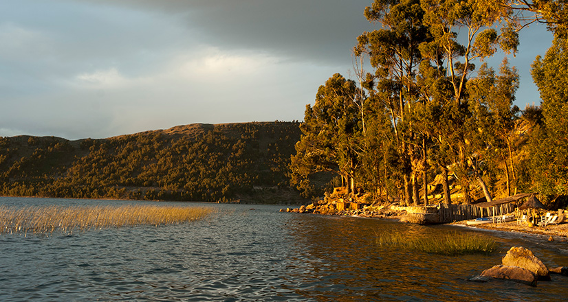Isla Suasi en el lago Titicaca