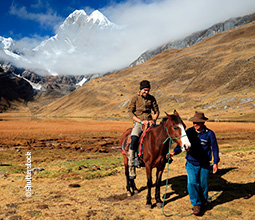 Promenade à cheval dans la chaîne de montagnes