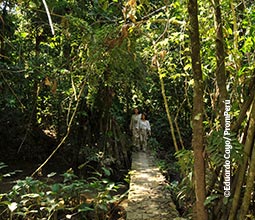 Touristes explorant la Réserve de Tambopata