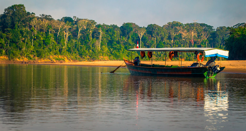 Parc National de Manu
