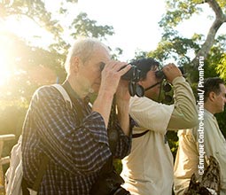 Observation des oiseaux dans le Parc National du Manu
