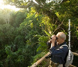 Observation des oiseaux dans le Parc National du Manu