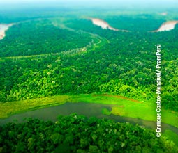 Vue aérienne du Parc National du Manu