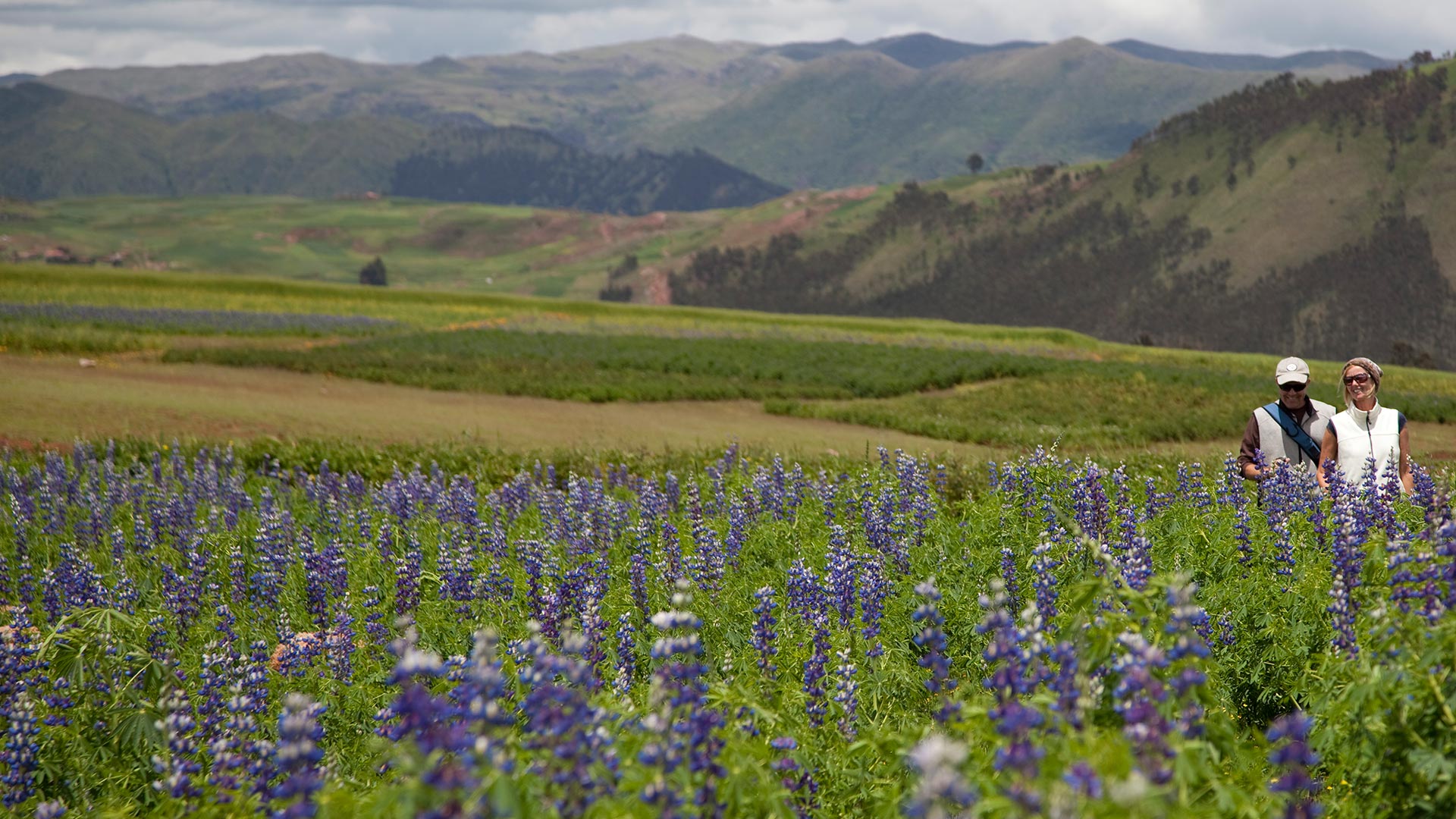 Avistamiento de flora y fauna en la Réserve Nacional de Tingana