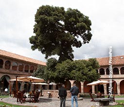 Touristes avec une habitante de Cusco sur la grande Place de San Blas