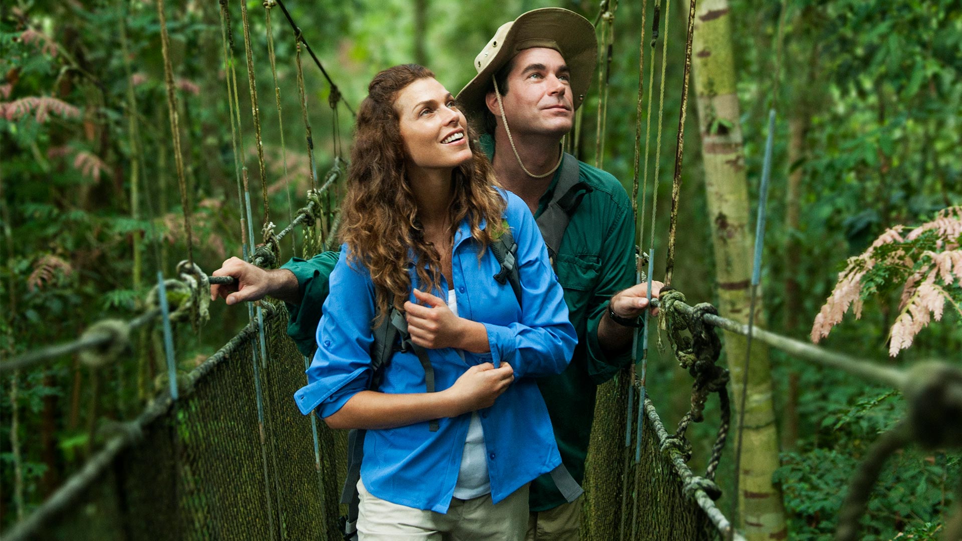Canopée au cœur de la forêt tropicale du Loreto 
