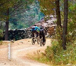 VTT à Maras et Moray.