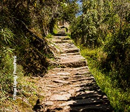Trek sur le chemin de l’Inca.