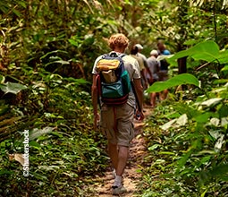 Randonnée dans la jungle