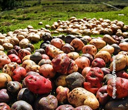Crédito: PromPerú