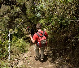 Trekking a Machu Picchu