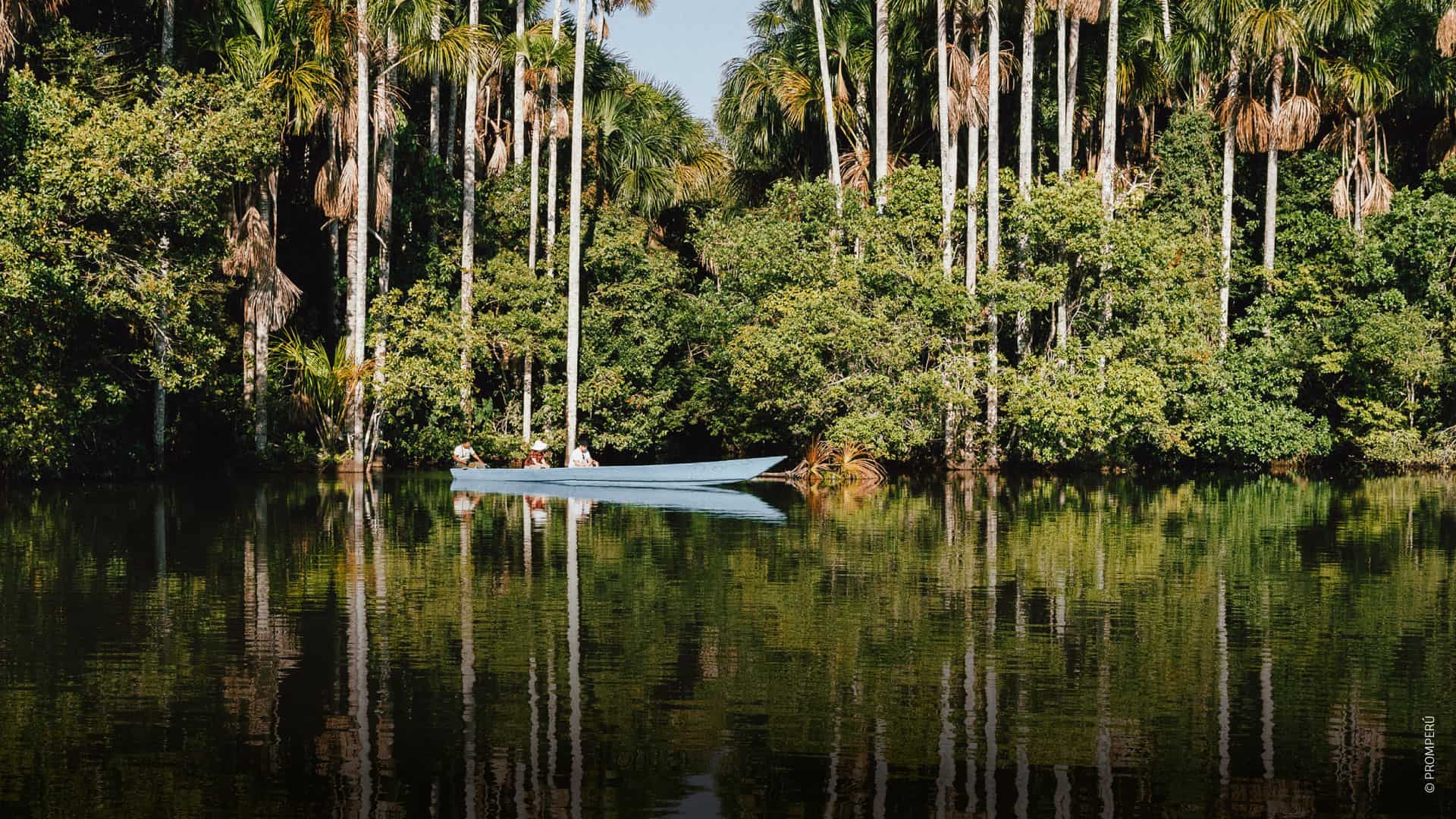 Lago Sandoval, Madre de Dios / ©PROMPERÚ