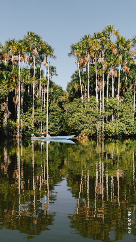 Lago Sandoval, Madre de Dios / ©PROMPERÚ