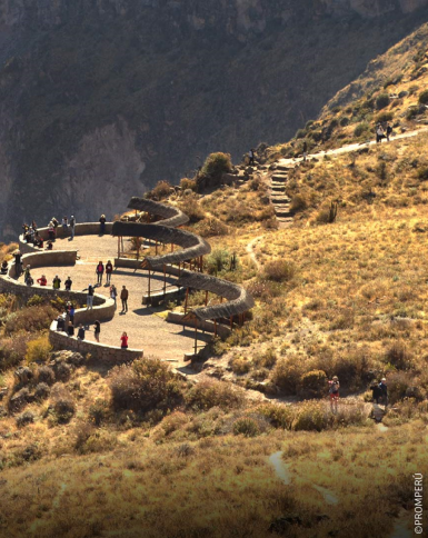 Vista aerea del Canyon del Colca e volo del condor, Arequipa