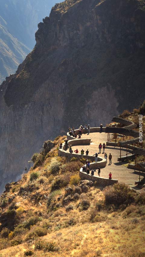 Vista aerea del Canyon del Colca e volo del condor, Arequipa
