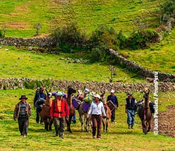 Turisti che camminano nella natura