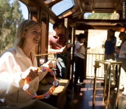turistas-en-tren-ruta-cusco-mosaico1