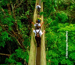 Turistas atravessando a ponte suspensa na selva de Loreto