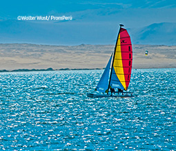 Windsurf na Reserva Nacional de Paracas.