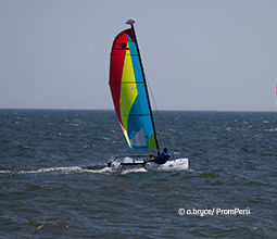 Windsurf nas praias do norte.