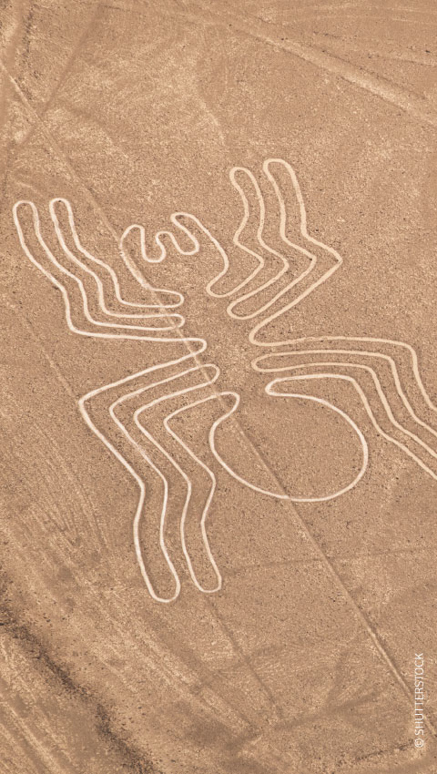 Linhas de Nasca, Nazca / ©SHUTTERSTOCK