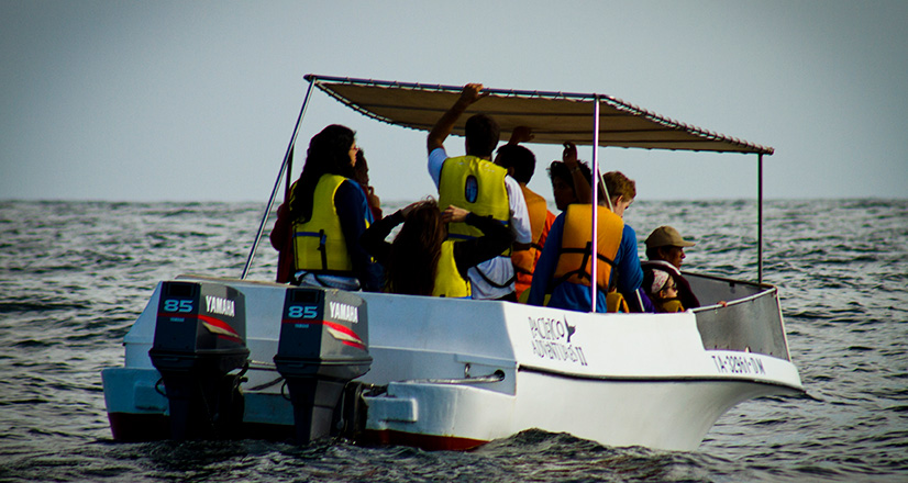 Fauna marinha em Tumbes
