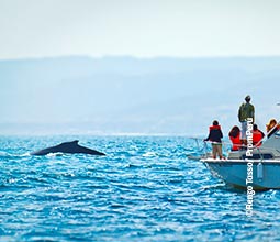 Turistas em um passeio marítimo por Tumbes