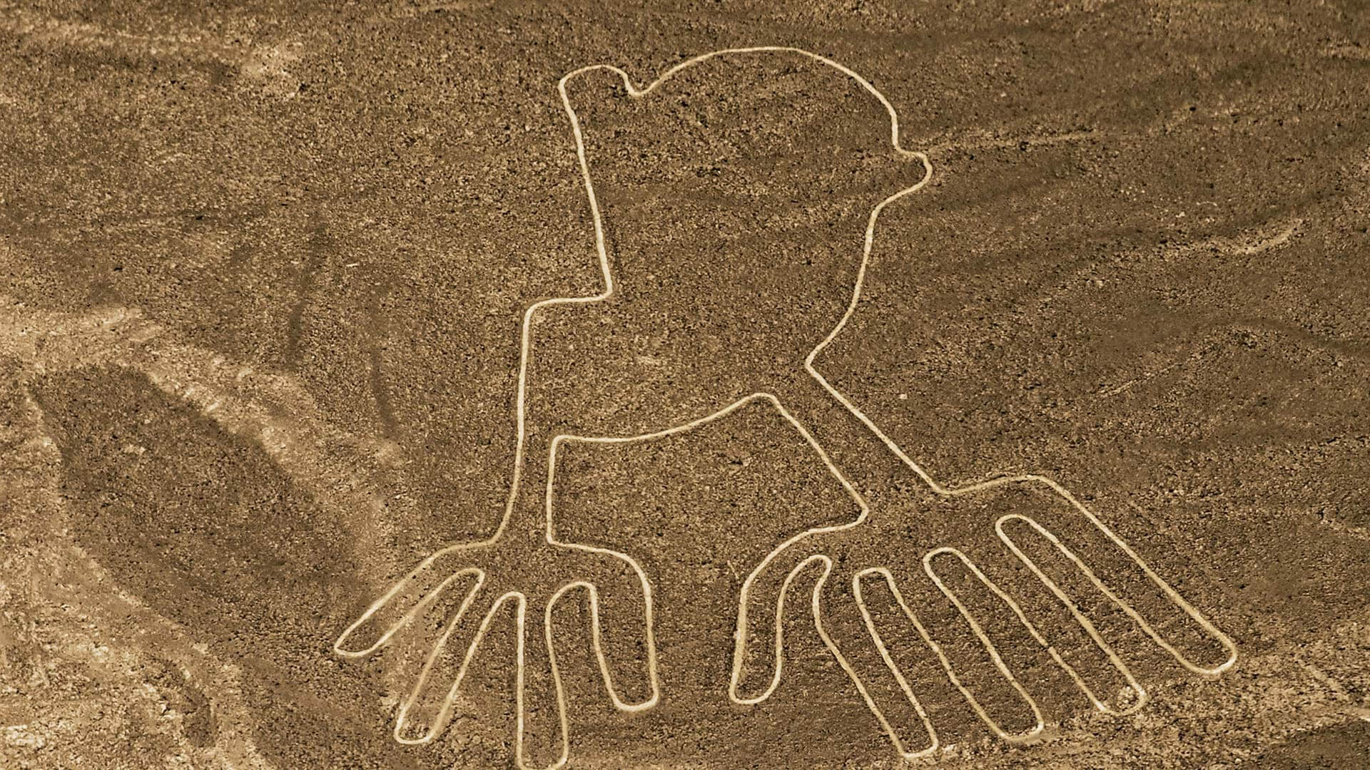 Nasca Lines: 10 details of these enigmatic geoglyphs