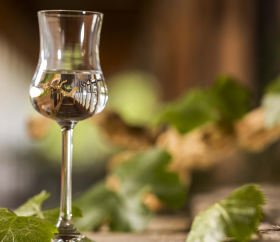 Pisco, Ica