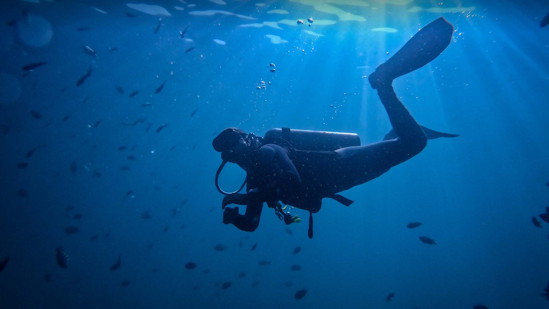 Buceo en mar peruano