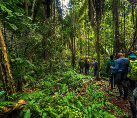 Parque Nacional del Manu