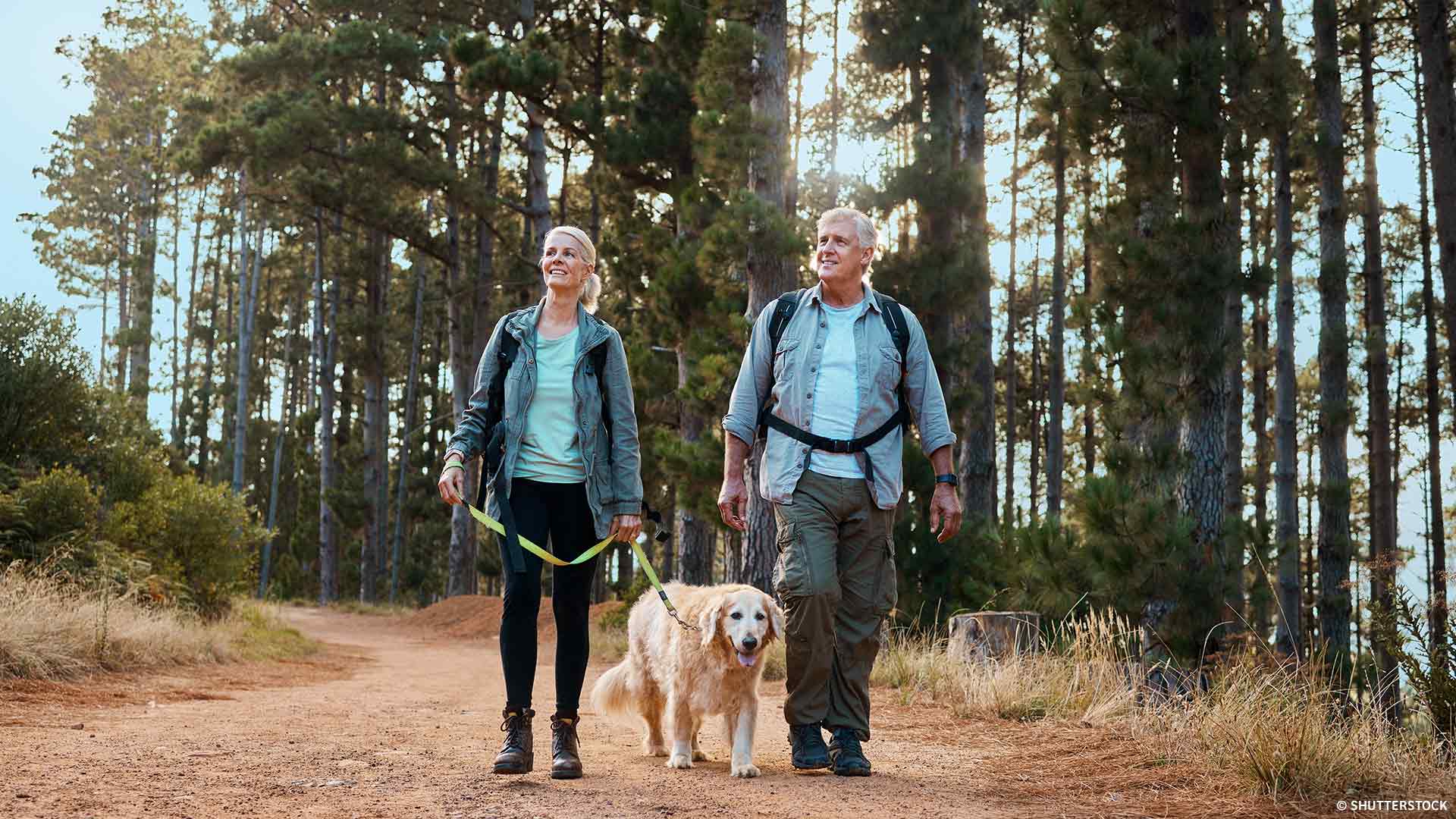 pet-friendly-desktop-01