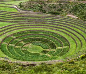 Moray