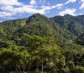 Parque Nacional Cordillera Azul, Ucayali