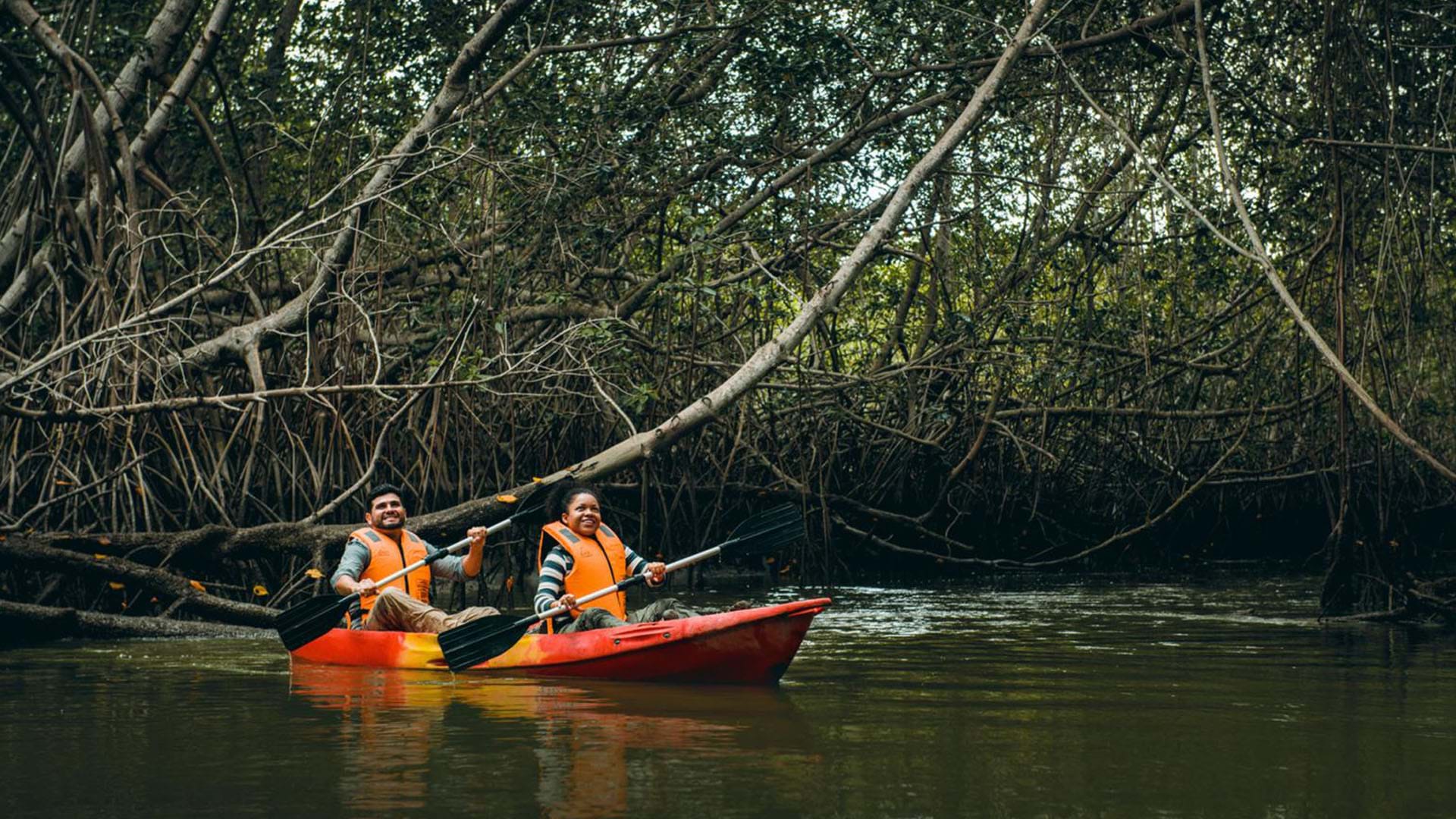 tour a los manglares de tumbes
