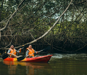 https://www.peru.travel/Contenido/General/Imagen/es/459/1.1/Manglares-Tumbes.listado.jpg