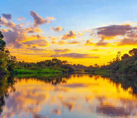 Parque Nacional del Manu