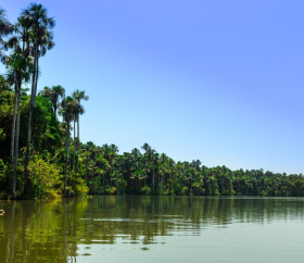 https://www.peru.travel/Contenido/General/Imagen/es/611/1.1/lago-sandoval-tambopata.listado.jpg