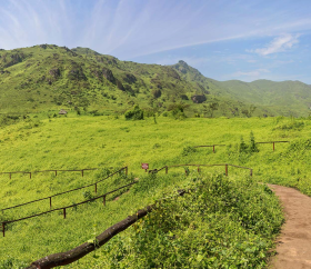 https://www.peru.travel/Contenido/General/Imagen/es/657/1.1/Lomas-de-lachay.listado.jpg