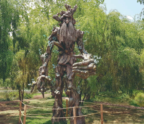 Ent en el humedal de Huasao