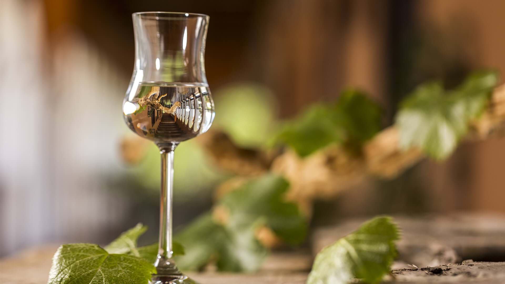 Pisco, Ica