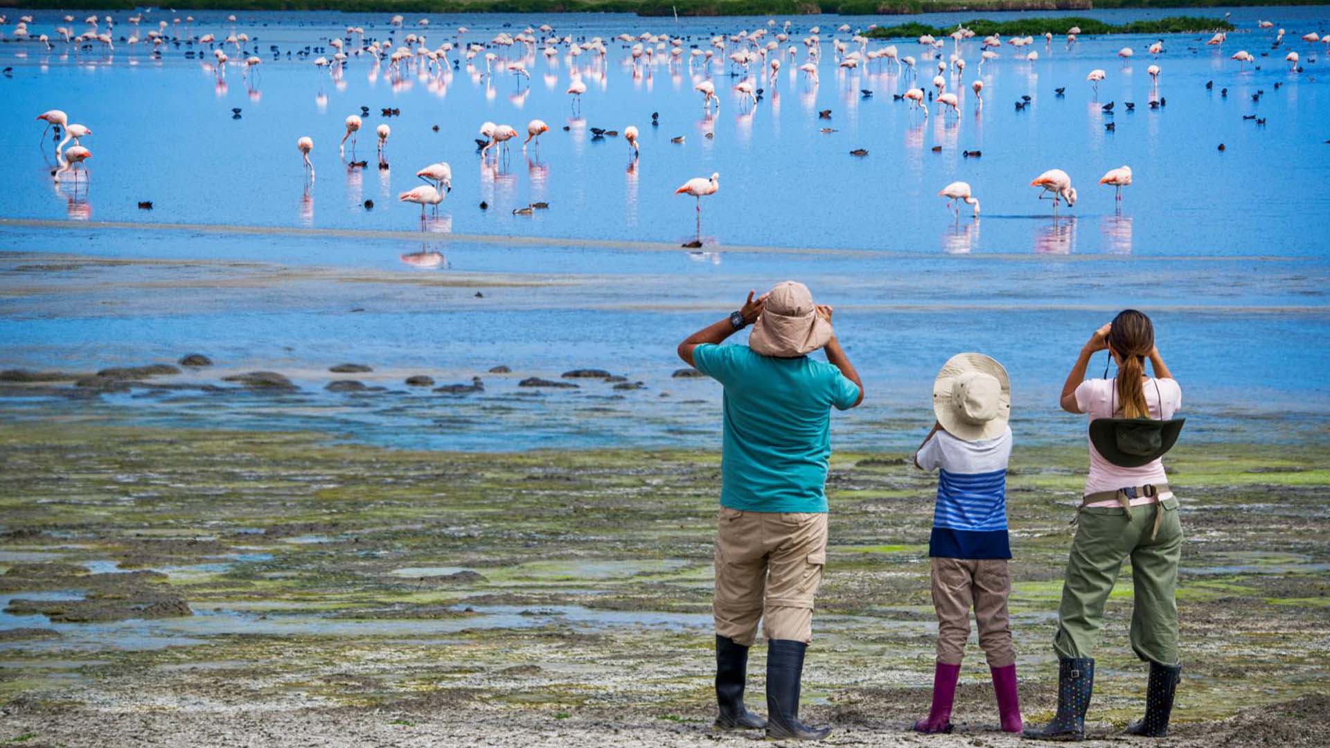 Turistas en los humedales de Ite