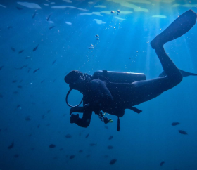https://www.peru.travel/Contenido/General/Imagen/es/842/1.1/buceo-playas-peru.listado.jpg