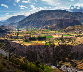 Vue sur les champs, les terrasses et la rivière du Canyon du Colca