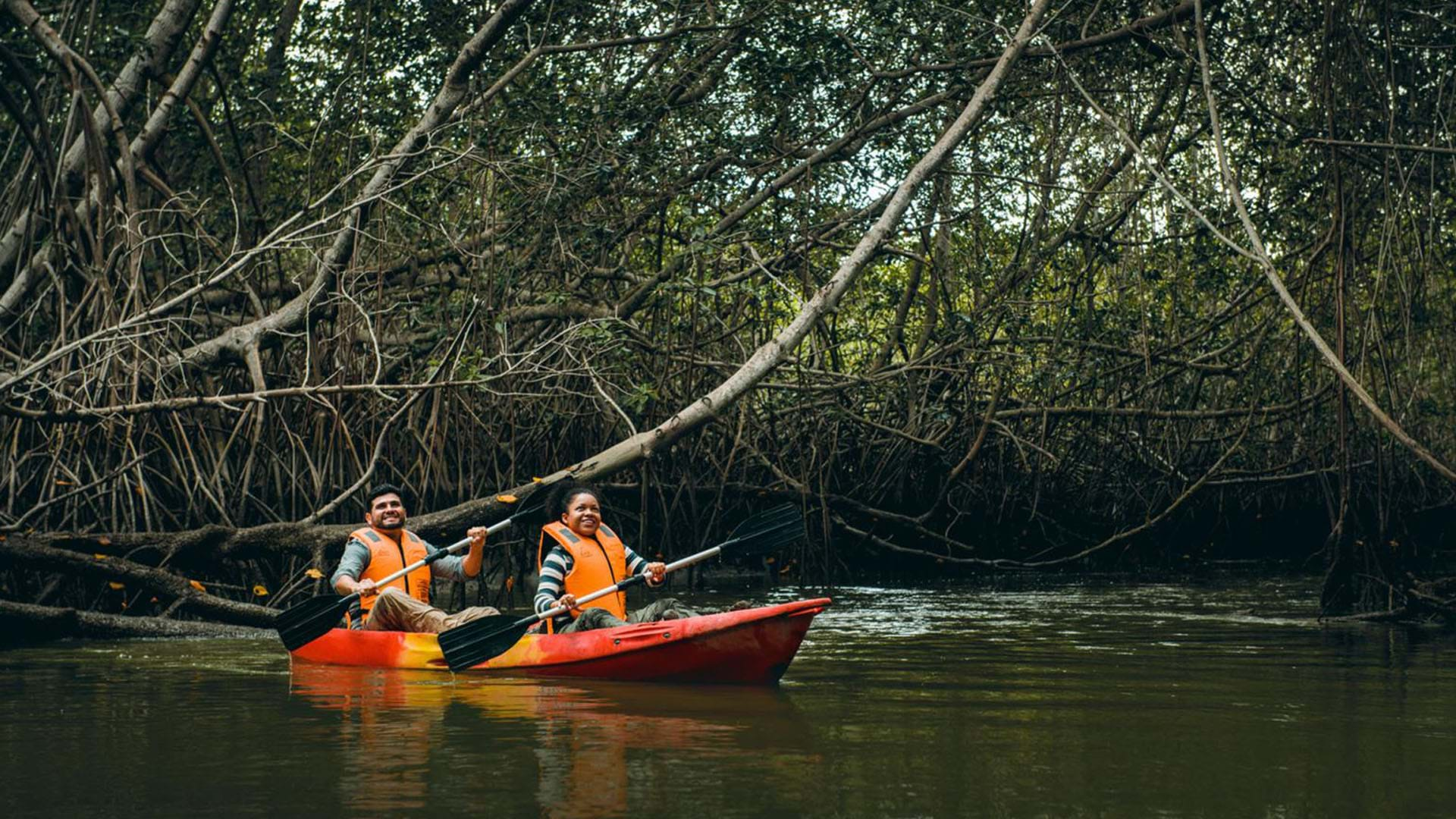 Descubre toda la belleza de los Manglares de Tumbes