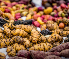 Variedade de batatas nativas do Peru