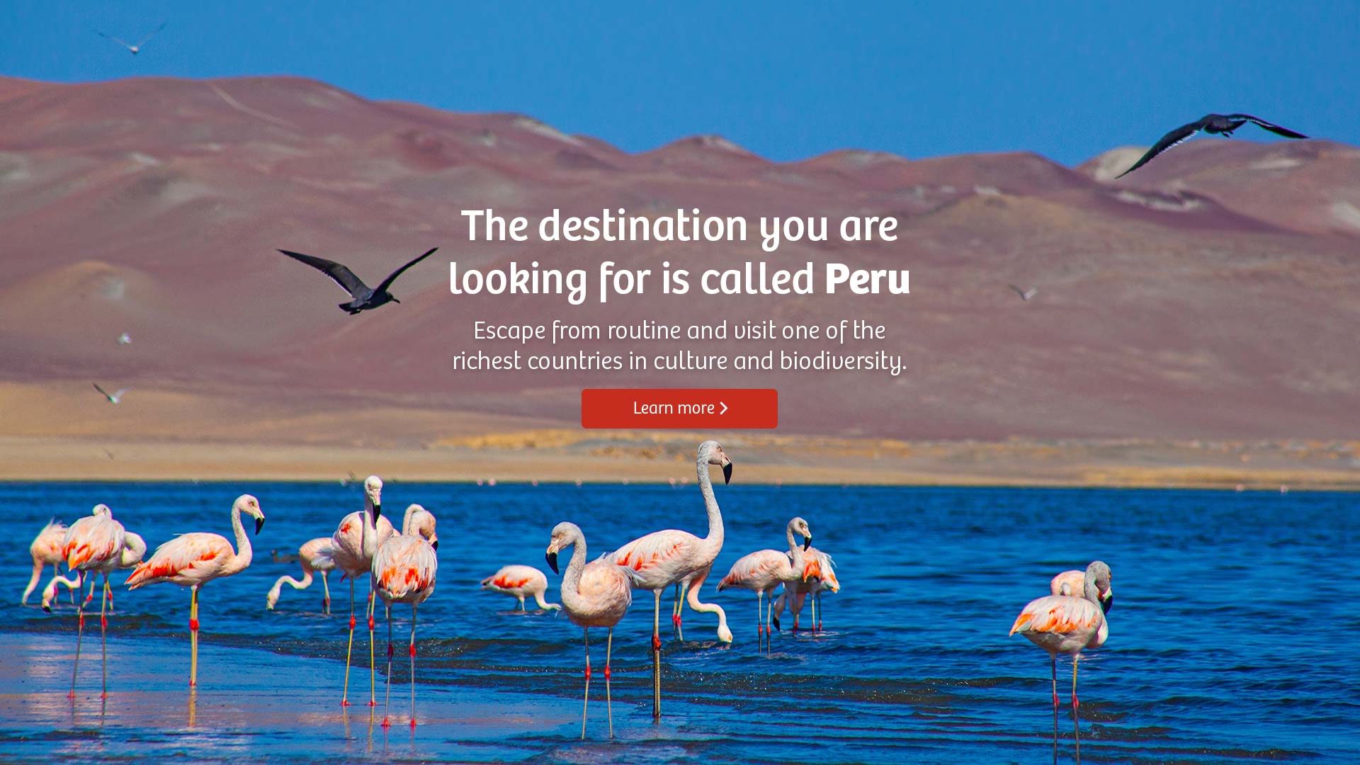 peru tourist city Destino-busqueda-se-llama-Peru_DESK_EN