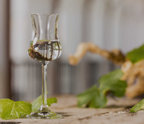 Pisco gewinnt 33 Medaillen bei den prestigeträchtigen Virtus International Awards 2022
